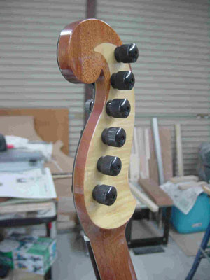 guitar-head